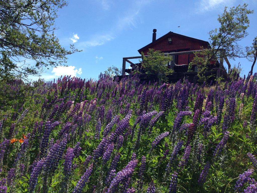 Cabanas Brellenthin Villa Cochrane Eksteriør billede